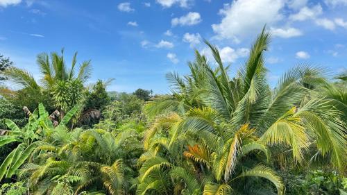 Thai Mueang Apartment | Similan Home Stay