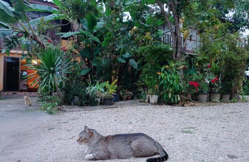 Chiang Rai Hotel | Six Nature Resort