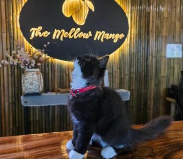 Ko Lanta Resort | The Mellow Mango