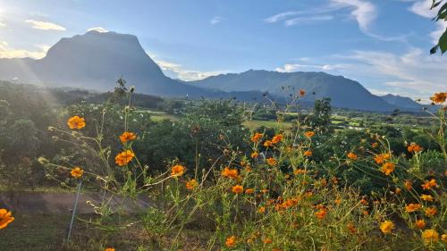Chiang Dao House | Doicherngngam Home stay