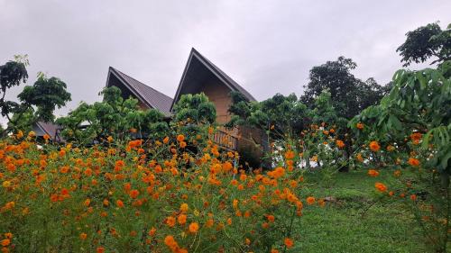 Chiang Dao House | Doicherngngam Home stay