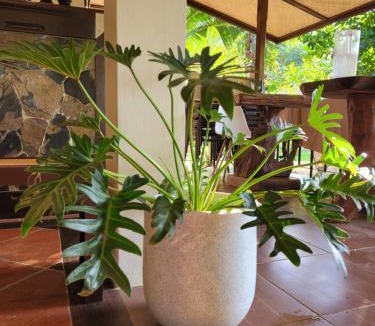 Suan Phueng Resort | Cozy Cottage by Chanita