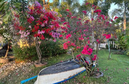 Lam Luk Ka House | Cozy breezing countryside Pet