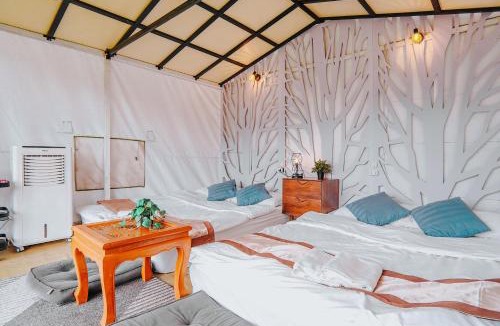 Mae Rim Other | ไร่อมรพญา ม่อนแจ่ม เชียงใหม่