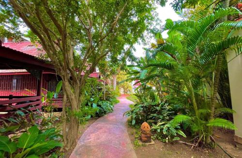 Lamai Resort | Samui Sense Revive