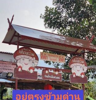 Mae Tha House | Bondoilampang