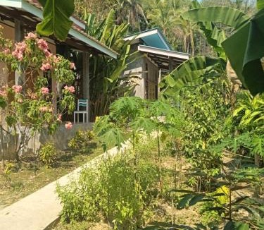 Ko Kood Hotel | Chom Suan Farmstay