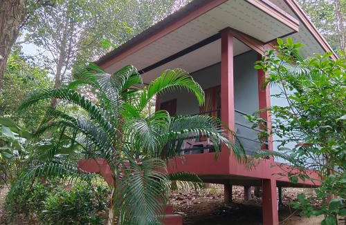 Khlong Sok Cabin | Khao Sok River & Jungle Bungalow