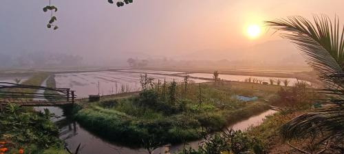 Mueang Pan Other | Kaewma farmstay