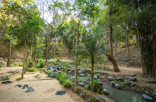 Rim Tai Resort | Jirung Health Village