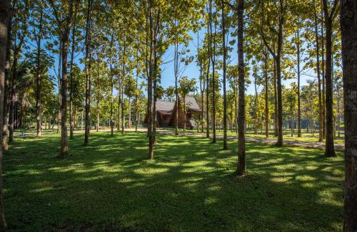 Mae Ngon Hotel | Angkhang Choeng Doi Garden Resort