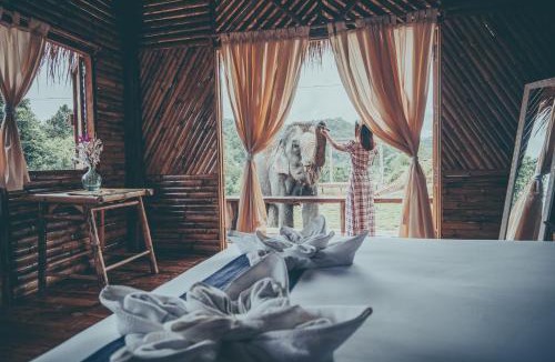 Mae Wang Hotel | Chai Lai Orchid