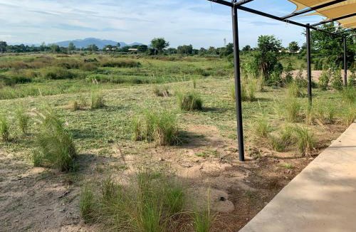 Tha Yang Resort | I love phants Lodge
