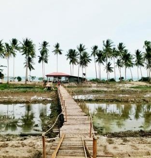 Taling Ngam Resort | I - Talay Taling Ngam Samui - เขา ป่า นา เล ตลิ่งงาม สมุย