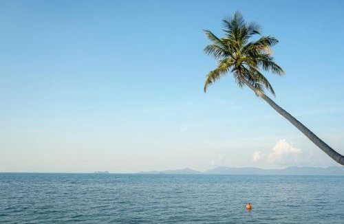 Bang Po Villa | The Natives Samui
