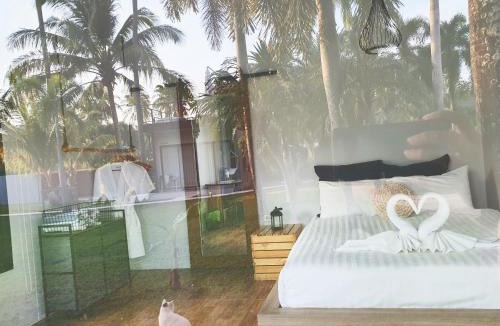 Chalong House | Coconut Wells Phuket