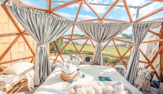 1000 Stars in Chiang Rai