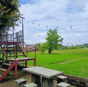 Six Nature Resort