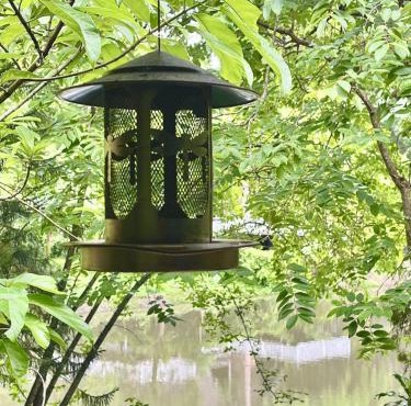 Cottage upon Tyne คอทเทจริมธาร - Woodland Cabin for 6