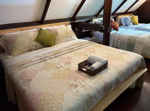 Cottage upon Tyne คอทเทจริมธาร - Woodland Cabin for 6 in Ban Tha Manao