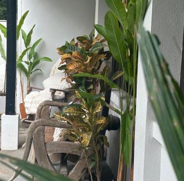 Nimman 5mins An Pool Villa Daily Cleaning in Chiang Mai