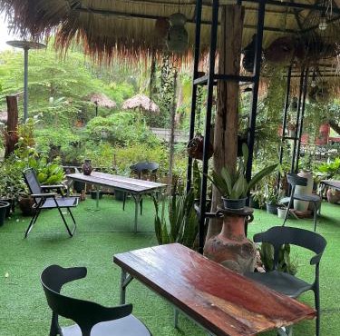 Tree and coffee resort V2 in Prakhon Chai