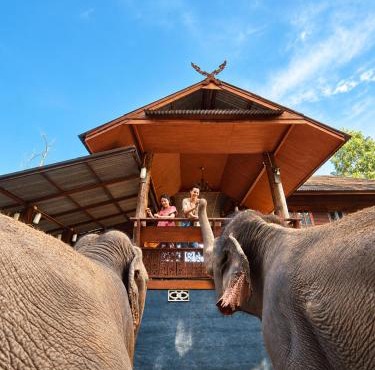 Elephant view terrace in Ban Muang Kut