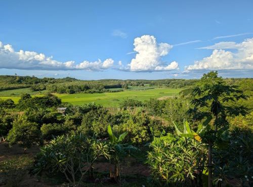 Loei Valley Orchard Bed & Breakfast in Wang Saphung