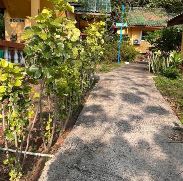 elephant garden in Ko Chang