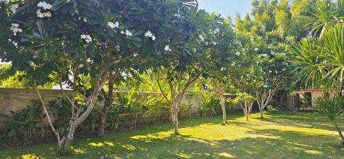 90 9 Pool Villa Chiang Mai in Ban Pa Ngae