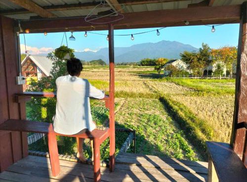 Ricefield Homestay มองนาภูคาน่านโฮมสเตย์ in Ban Thon (1)