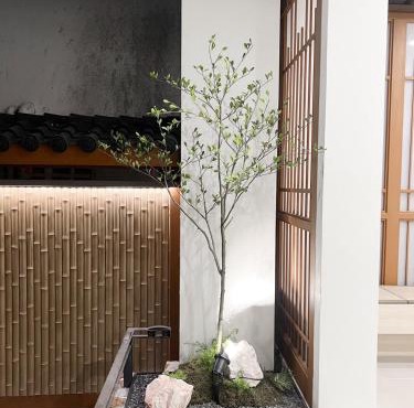 Tatami Hotel Phuket in Ban Ket Ho