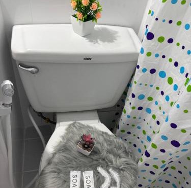 Ally home 0624