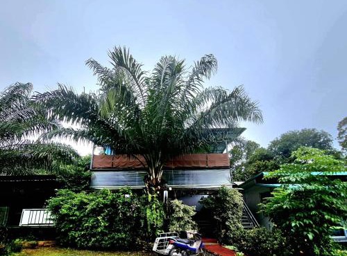 Kai Bae Loft in Ban Phai Bae