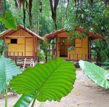 Khai jungle wassanacamp in Ban Thung Lang Tham