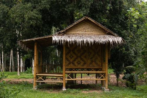 Gaarawe, Khao Sok, Surat Thani Province, Thailande in Ban Khong Hua Kwang