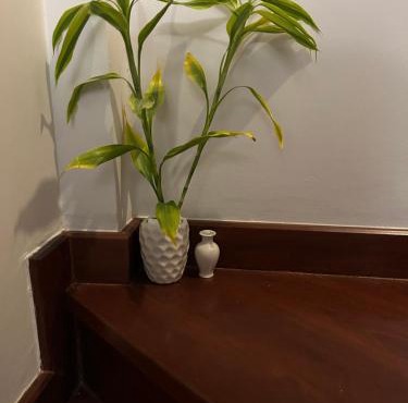 Mookda house in Bangkok