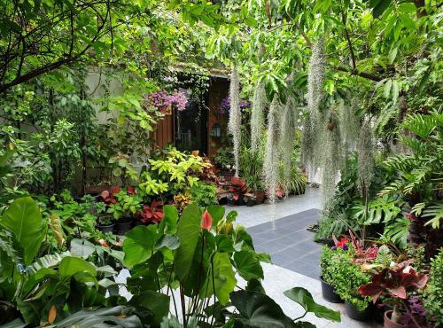 37 Nature House in Bangkok