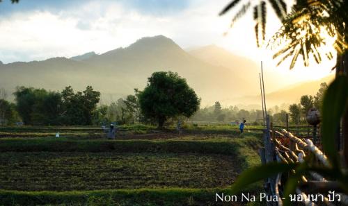 NON NA PUA - นอนนา ปัว in Pua