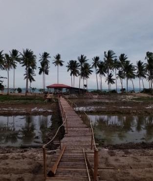 I - Talay Taling Ngam Samui - เขา ป่า นา เล ตลิ่งงาม สมุย