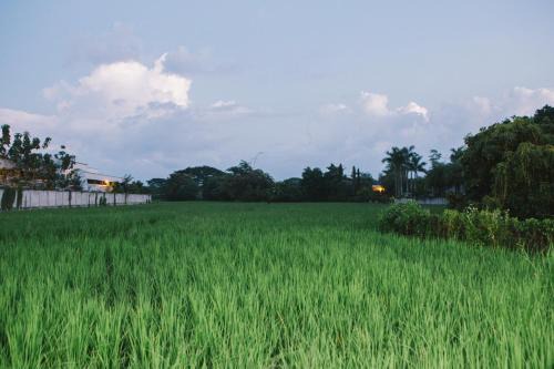 ฺBaan Tonglong Homestay in Hang Dong
